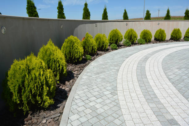 Best Residential Paver Driveway  in Imlay City, MI